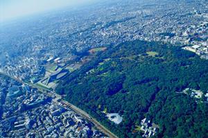 荷揚げ効率を劇的に向上させる！現場監督必見の強力機材とコスト削減テクニック