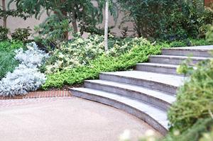 福岡中心地で快適な賃貸生活を実現！ドリームステージのカフェコラボ店を紹介