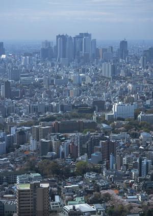 香川県で土壁の家を手に入れよう