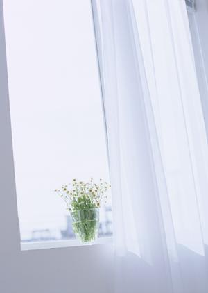 引越し見積もりはサイトの利用が便利です